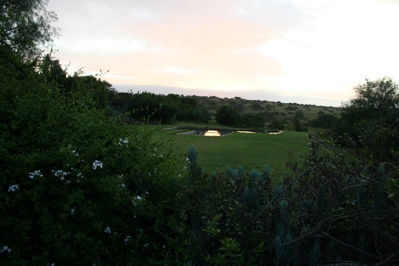 Leeuwenbosch Country House - Amakhala Game Reserve Exterior foto