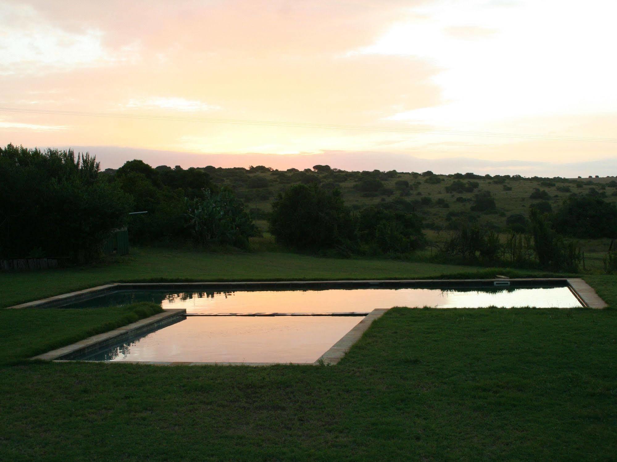 Leeuwenbosch Country House - Amakhala Game Reserve Exterior foto