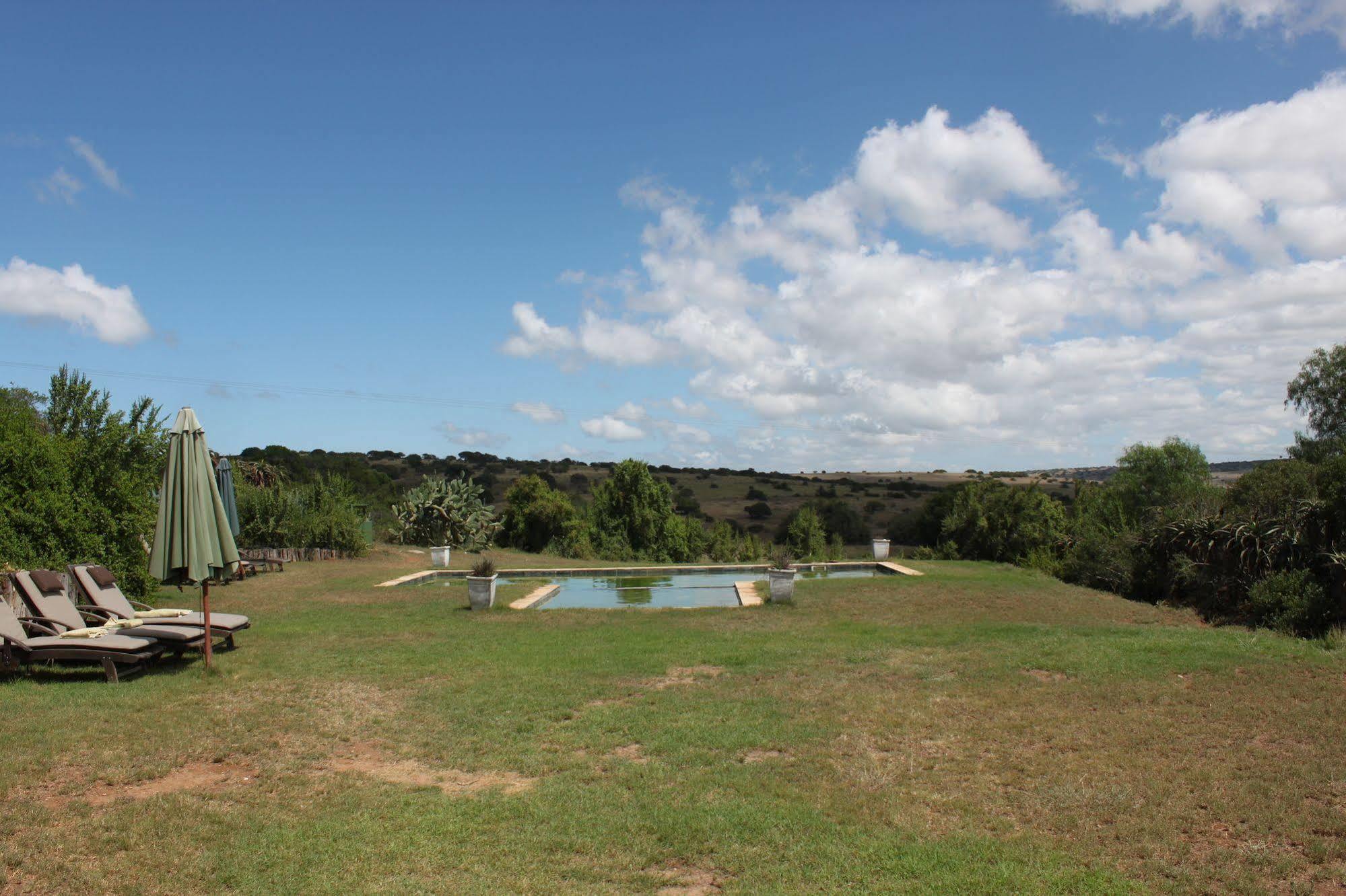 Leeuwenbosch Country House - Amakhala Game Reserve Exterior foto